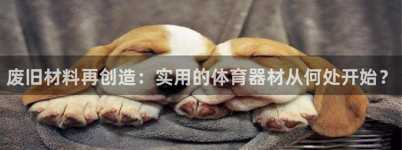 尊龙手机官方客户端下载安装