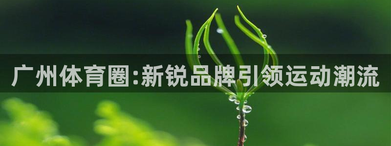 尊龙最经典的三个角色