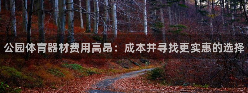 尊龙凯时平台信誉怎样：公园体育器材费用高昂：成本并寻