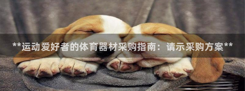 尊龙AG旗舰厅官网：**运动爱好者的体育器材采购指南