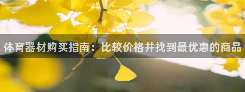 尊龙凯时客服：体育器材购买指南：比较价格并找到最优惠