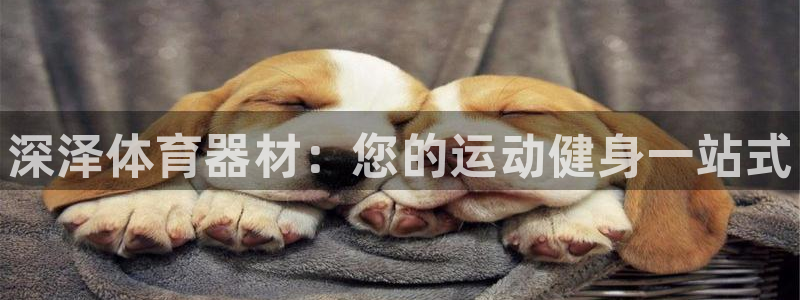 尊龙官方身高：深泽体育器材：您的运动健身一站式