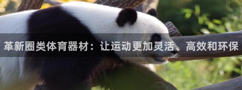 尊龙凯时取款24小时不到账