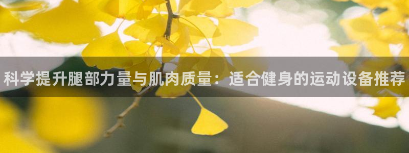 尊龙会：科学提升腿部力量与肌肉质量：适合健身的运动设备推荐